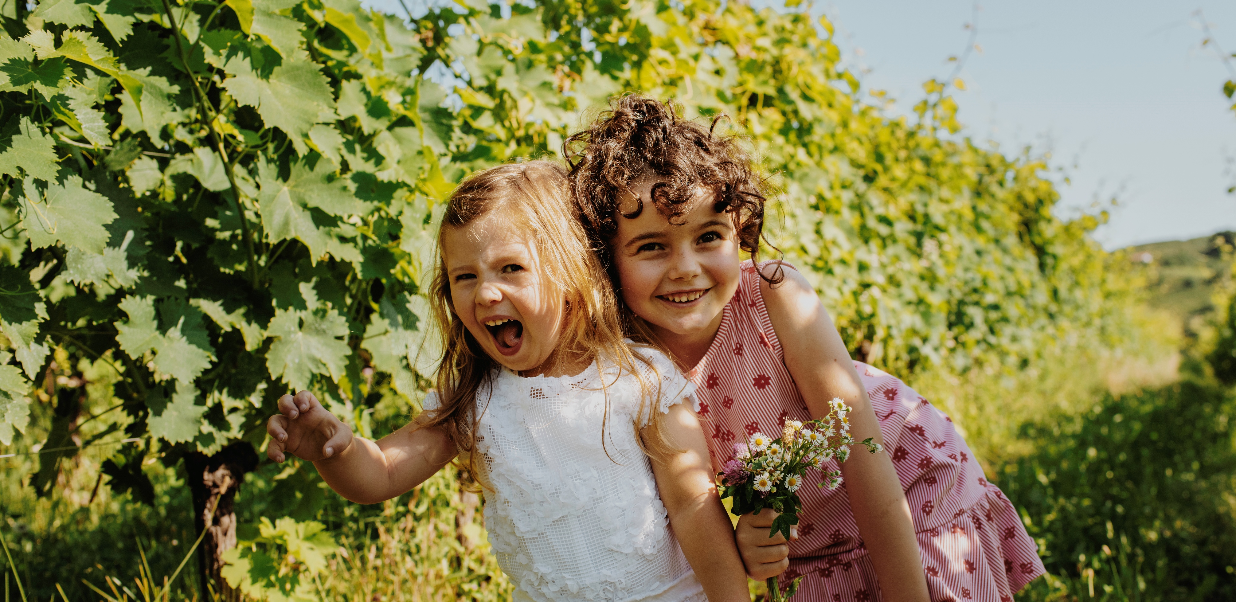 Azienda Agricola Bocchino Giuseppe