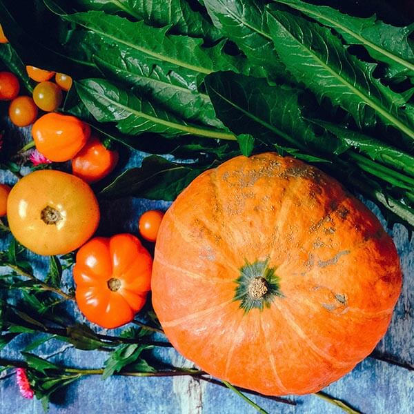Azienda Agricola Boggero