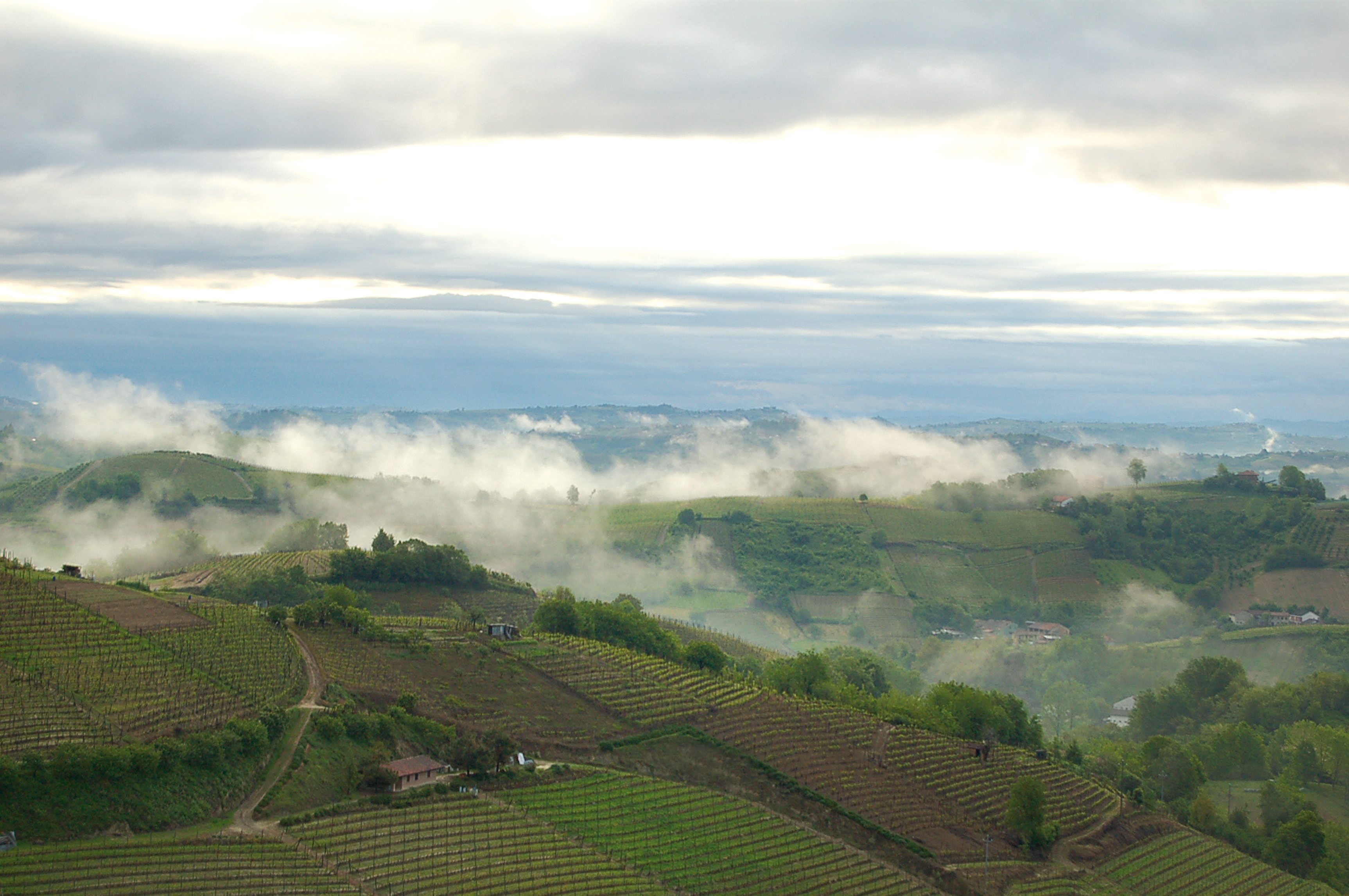 Azienda Agricola Ca di Tulin