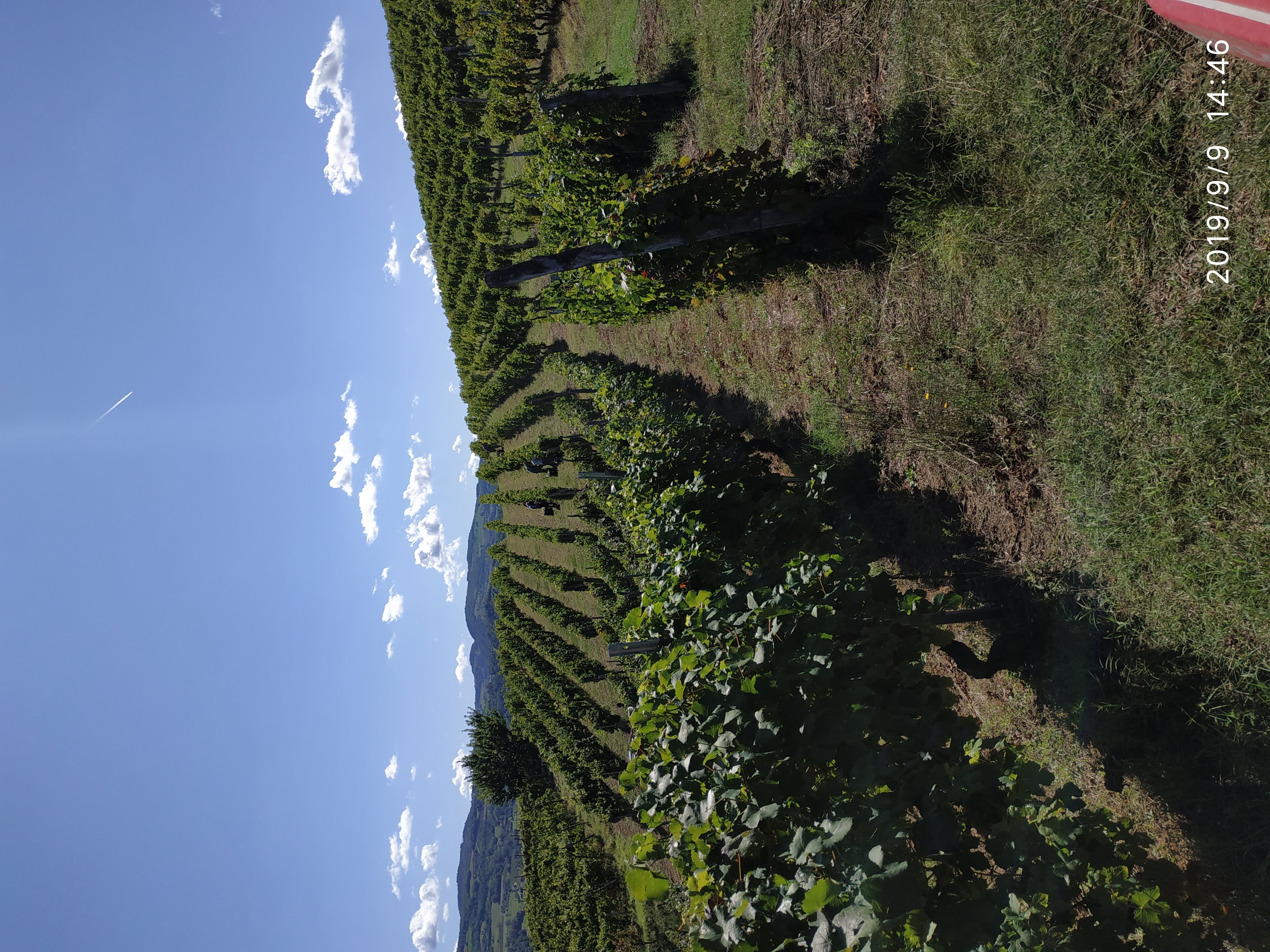 Azienda Agricola Gamba Lorenzo