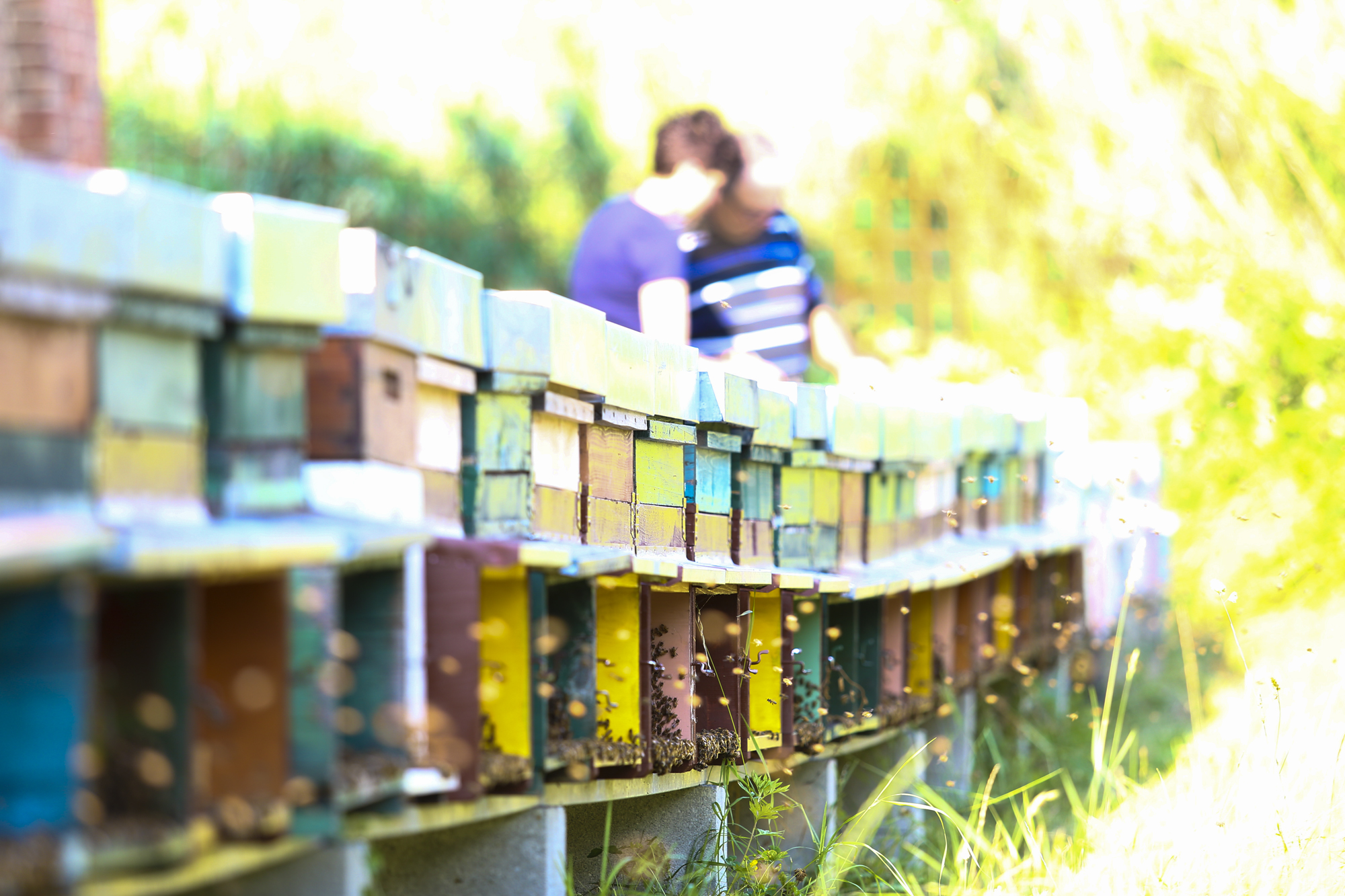 Azienda Agricola Ponte Ballerine