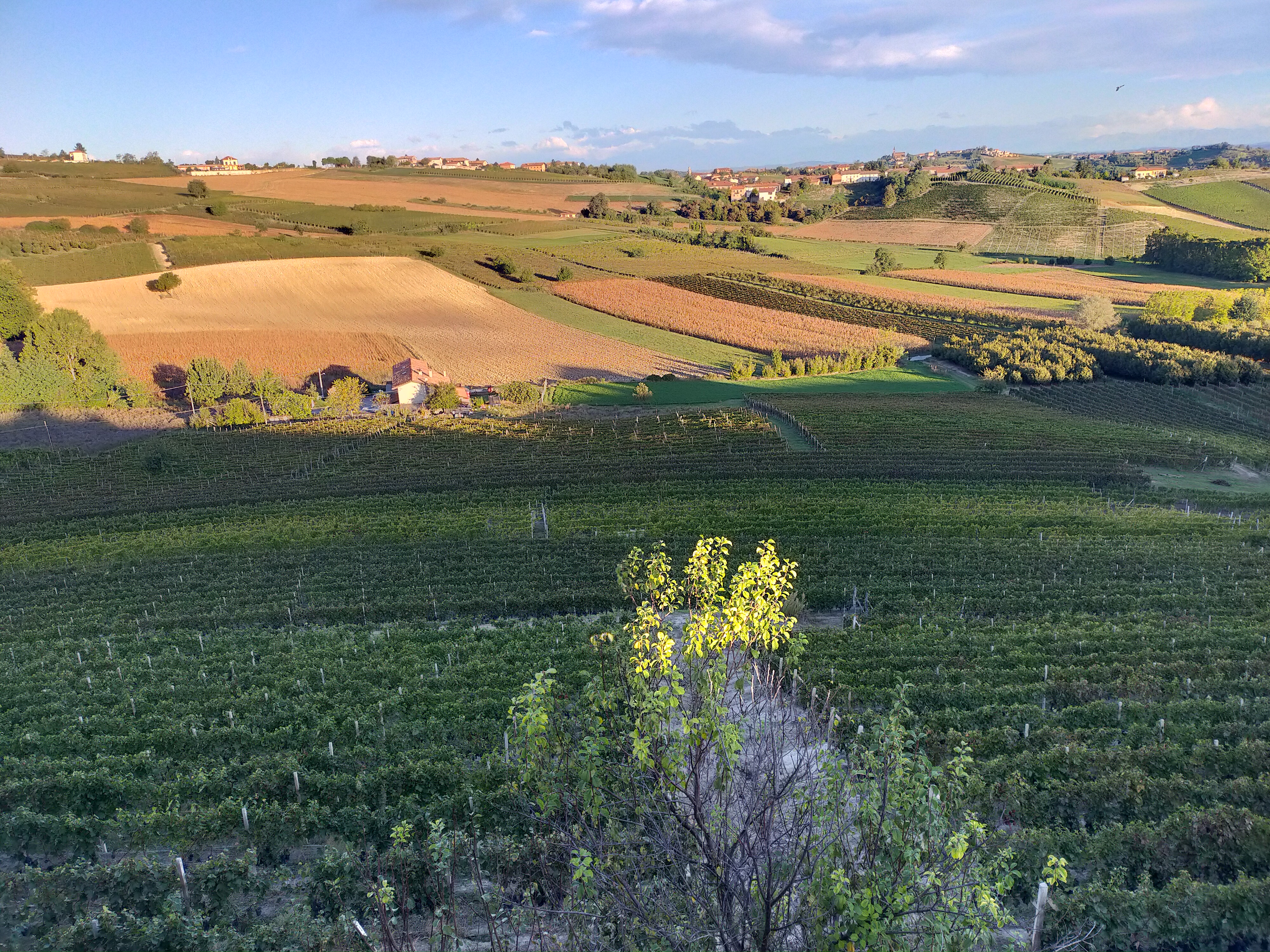 Azienda Agricola Barbara Zavattero